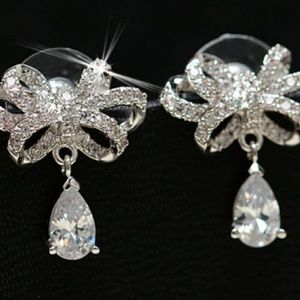 Water Drop Inlaid w/Zircon Earrings